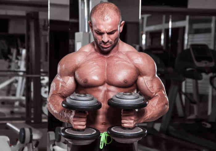 Body builder performing exercise for biceps with weights in both hands - Does MK-677 Cause Hair Loss?