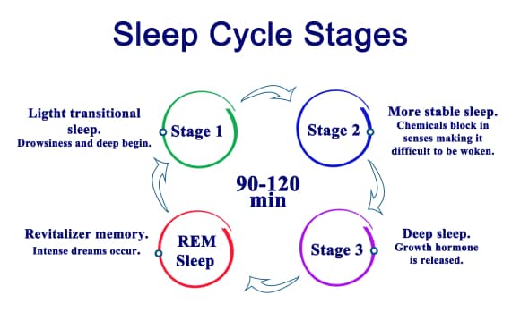 sleep cycle stages: does mk-677 improve sleep quality