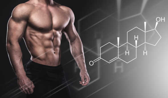 muscular male body and testosterone hormone formula
