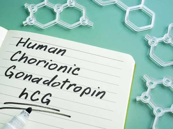 human chorionic gonadotropin hcg written on the page